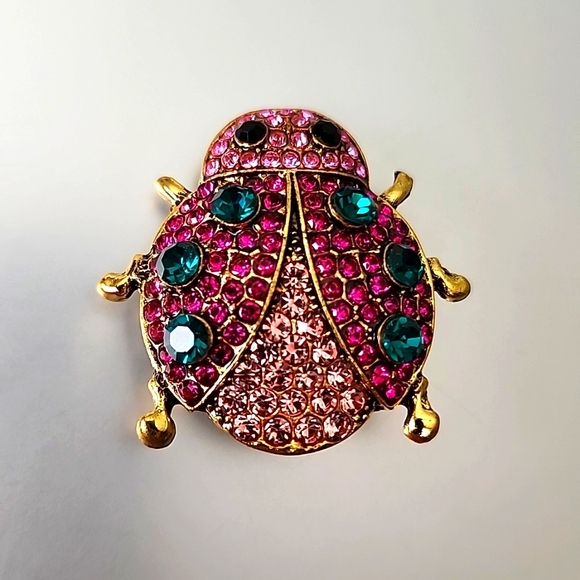 Ladybug Brooch Lady Bug Bling Necklace Brooch Combo - Picture 1 of 6